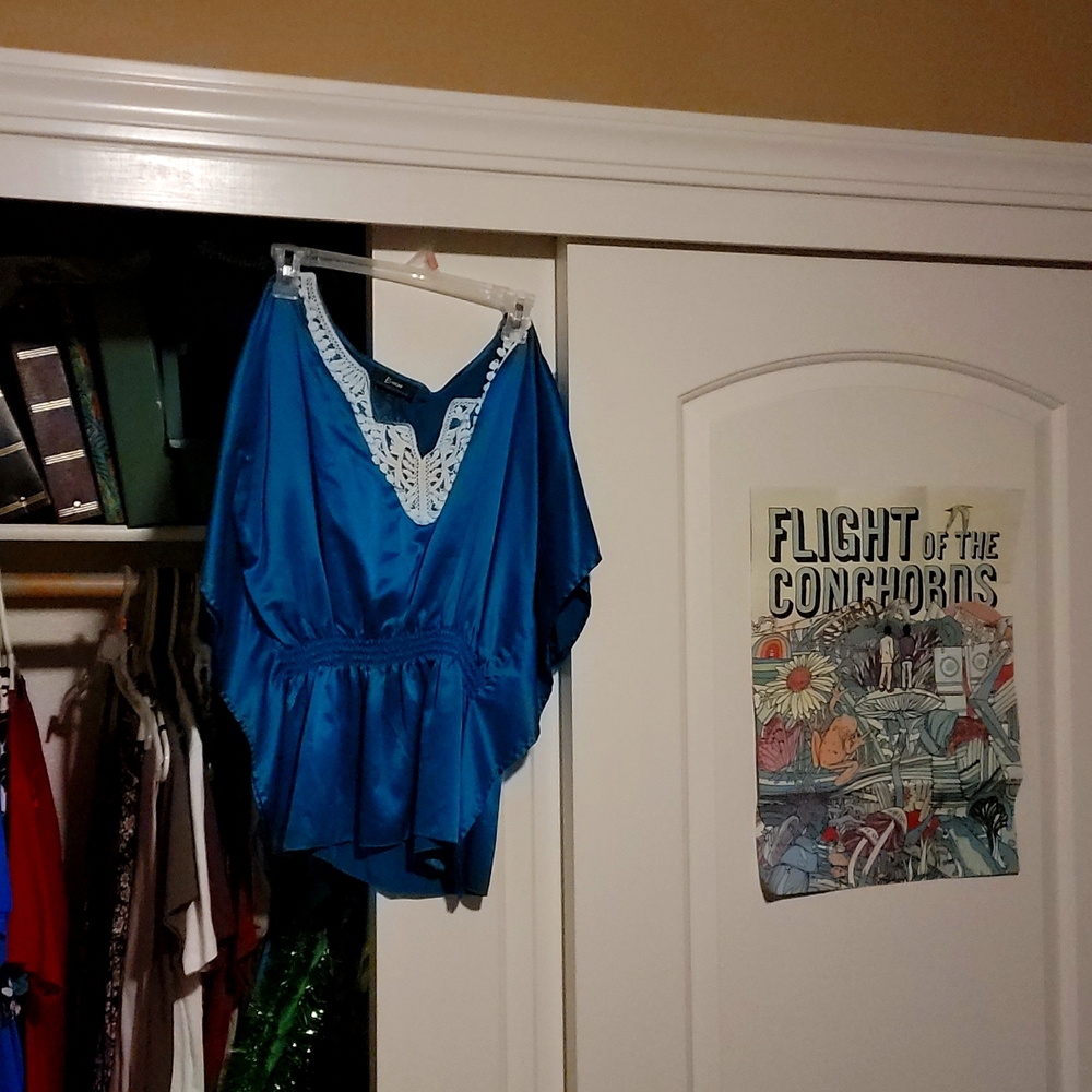 Blue Bwear Silk Embroidered Blouse - Picture 1 of 8